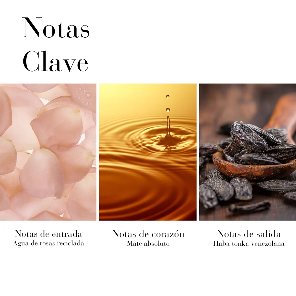 White Tea Crema Hidratante de Cuerpo - Image 3