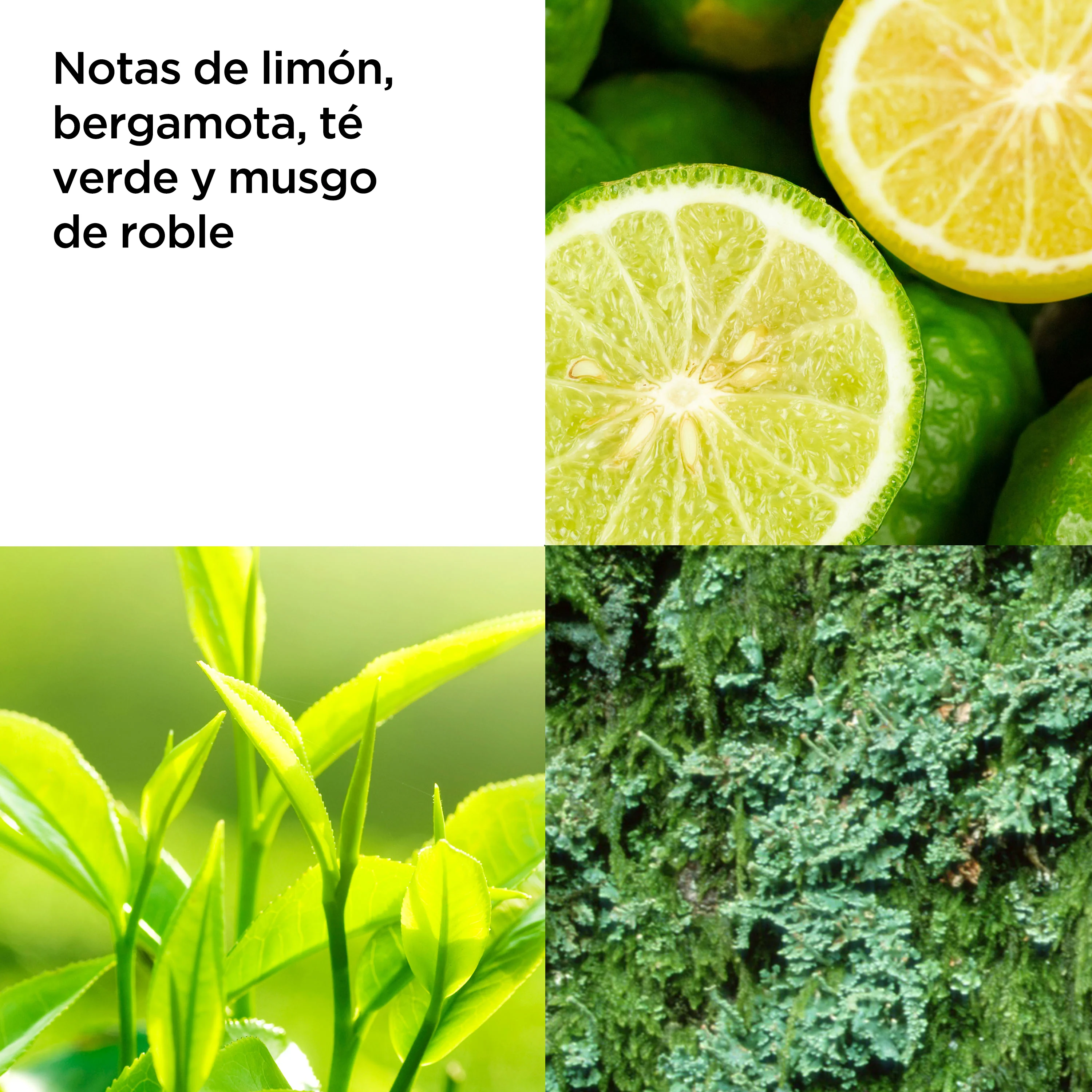 Green Tea Scent Spray - Image 3
