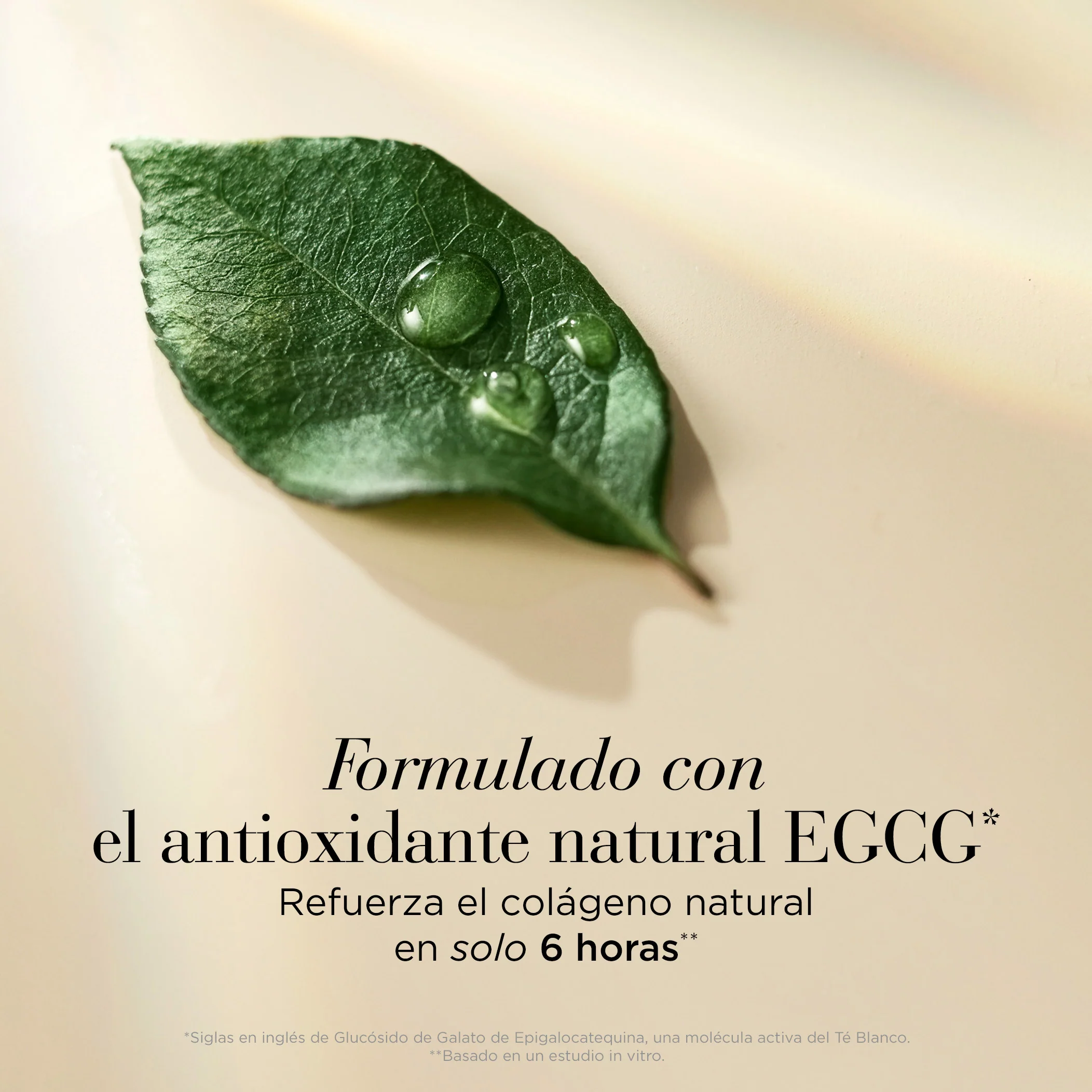 White Tea Skin Solutions Tónico Hidratante Bifásico - Image 5
